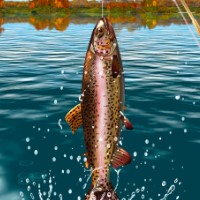 Download Carp Fishing Simulator Apk Data v1.9.8.3 Android 2022